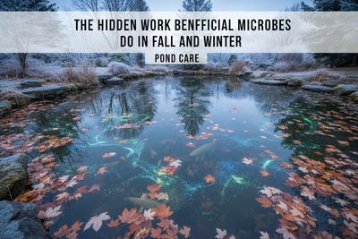 Cold-Weather Microbes: Why Arctic Blend™ and Dual Blend™ Make a Big Difference